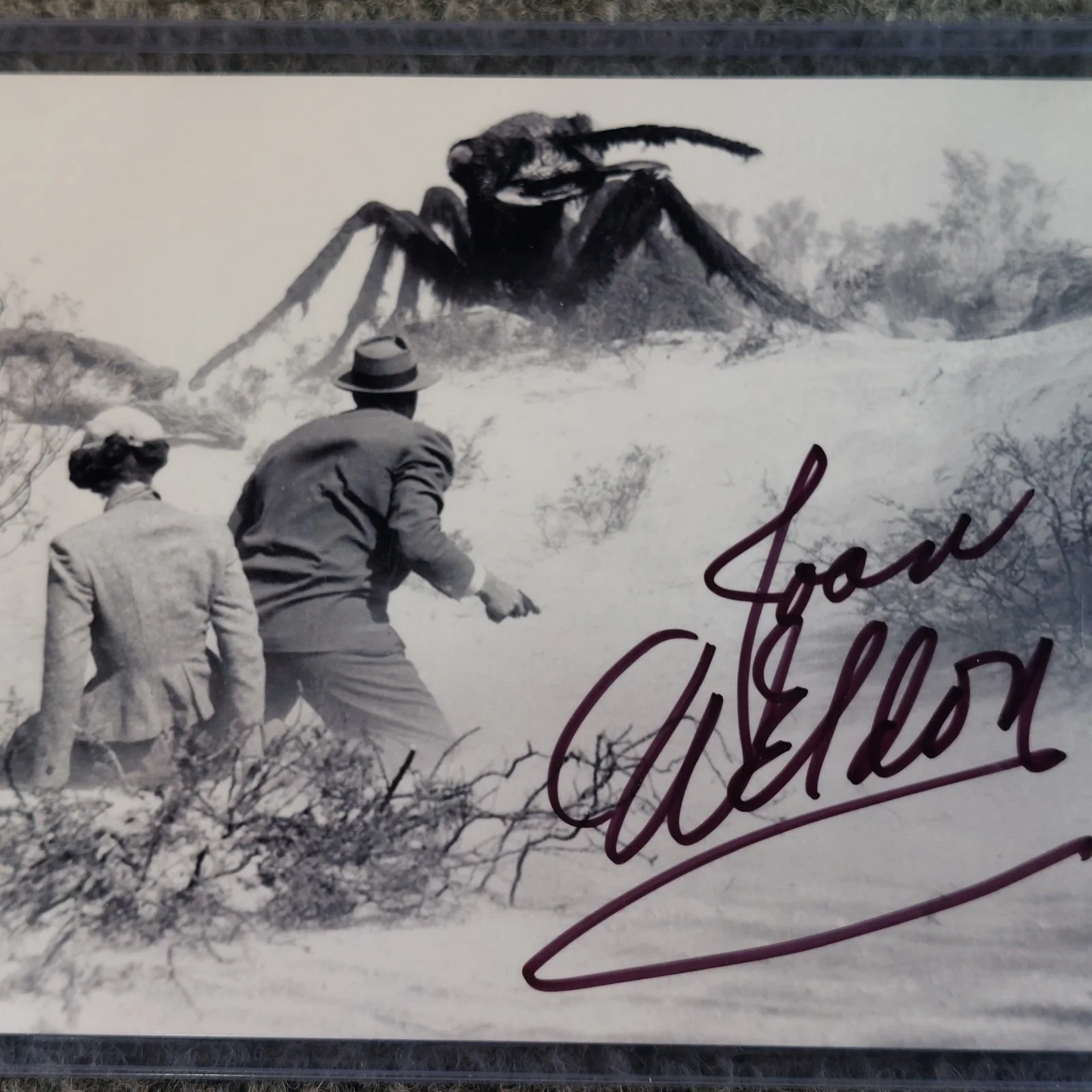Joan Weldon — Joan Weldon Signed 4x6 Photo Them! Gunsight Ridge Stranger Wore a Gun, image 2