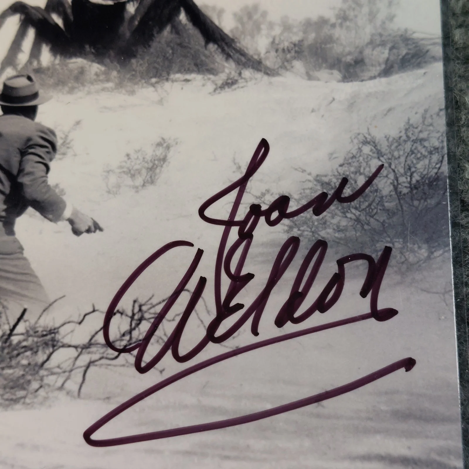Joan Weldon — Joan Weldon Signed 4x6 Photo Them! Gunsight Ridge Stranger Wore a Gun, image 3