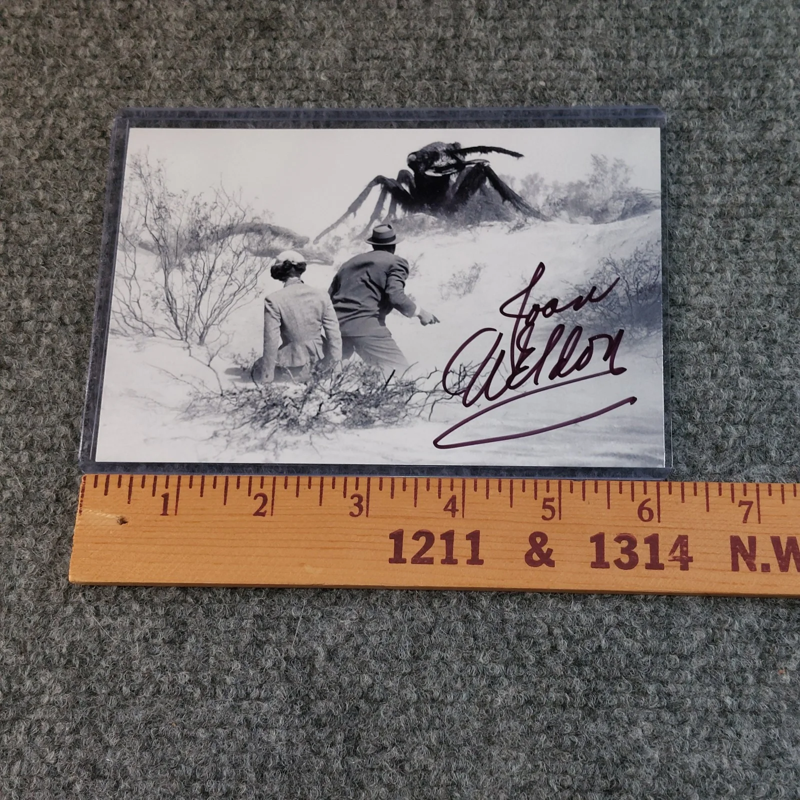 Joan Weldon — Joan Weldon Signed 4x6 Photo Them! Gunsight Ridge Stranger Wore a Gun, image 4