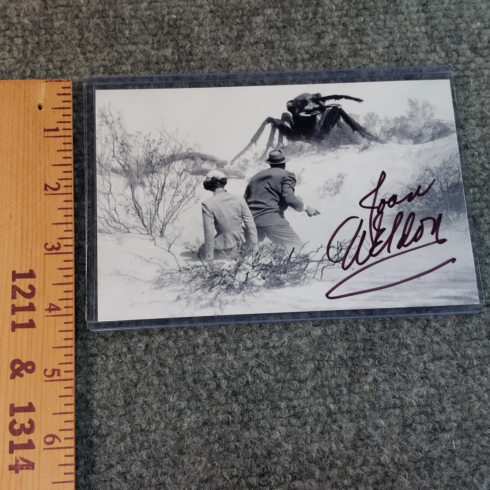 Joan Weldon — Joan Weldon Signed 4x6 Photo Them! Gunsight Ridge Stranger Wore a Gun, image 5