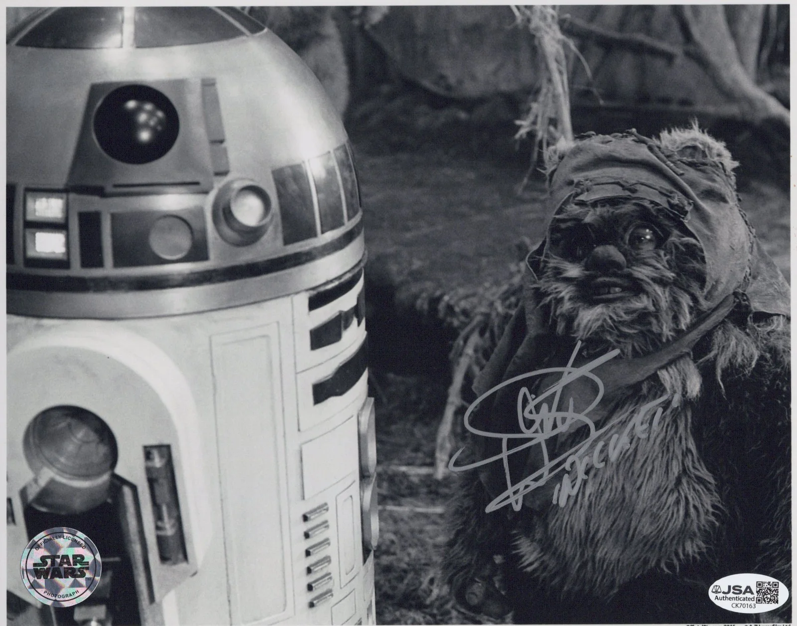 Warwick Davis — Star Wars - Official Pix - Warwick Davis signed Wicket 8x10 photo JSA COA