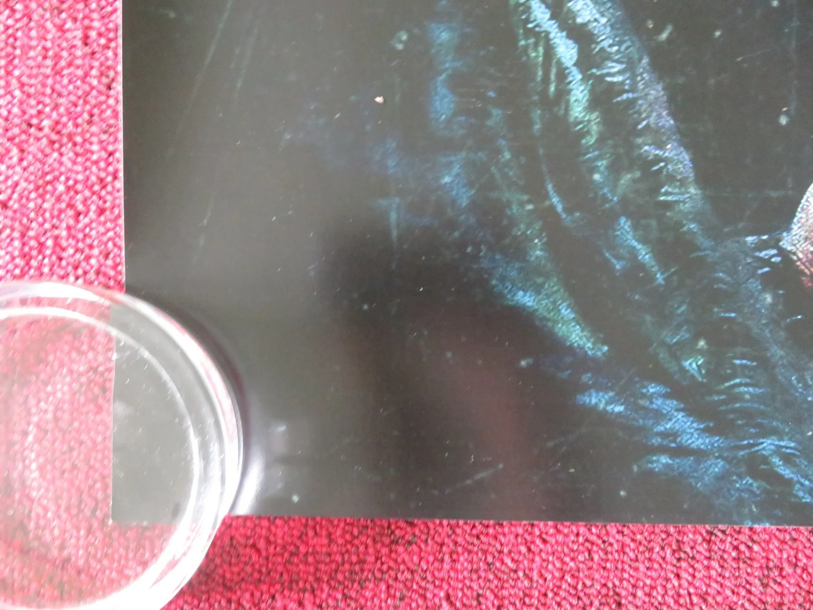 Predator: Badlands - B UK Quad Rolled Poster Elle Fanning Cameron Brown 2025, image 4