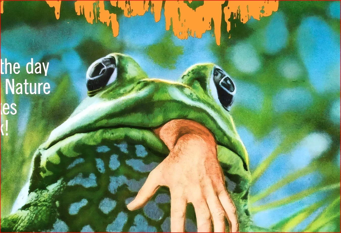 Frogs - 1972 Eco-Horror Sci-Fi Restored 27.2" x 41" US One Sheet Poster, image 5