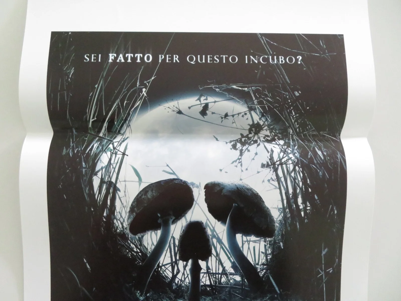 Shrooms Italian Locandina Poster Lindsey Haun Jack Huston 2007, изображение 3