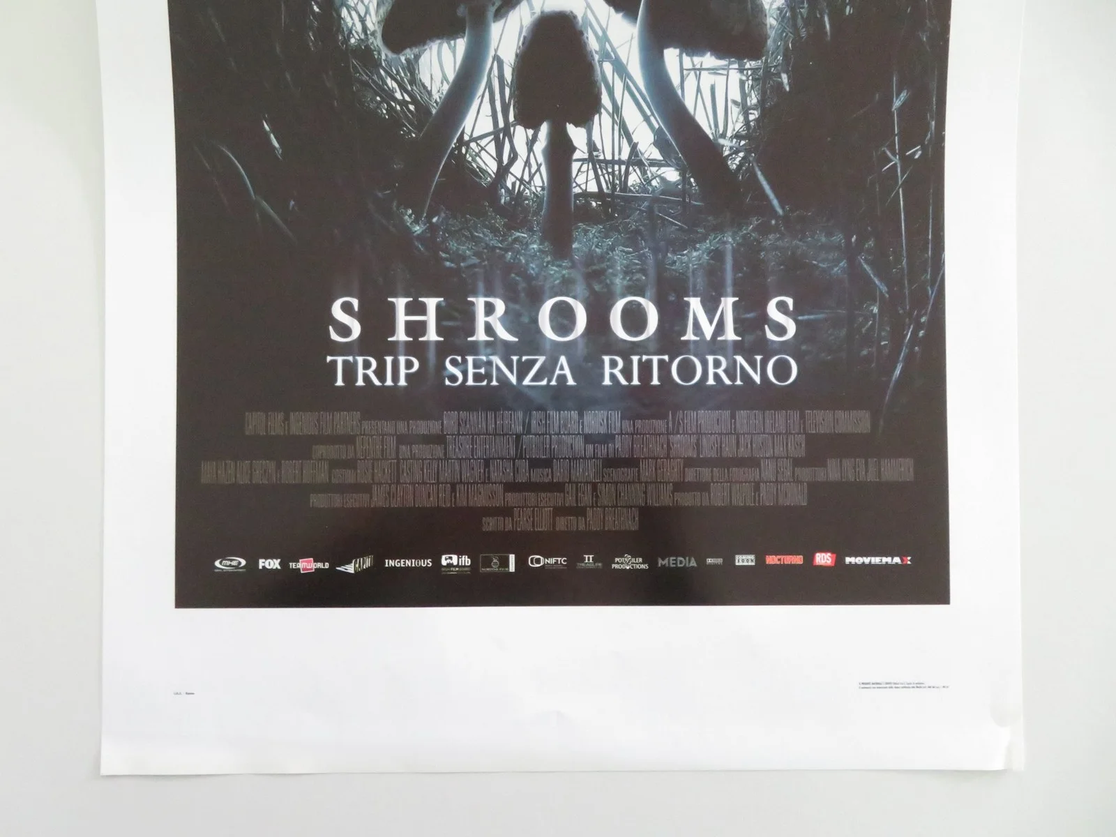 Shrooms Italian Locandina Poster Lindsey Haun Jack Huston 2007, изображение 4