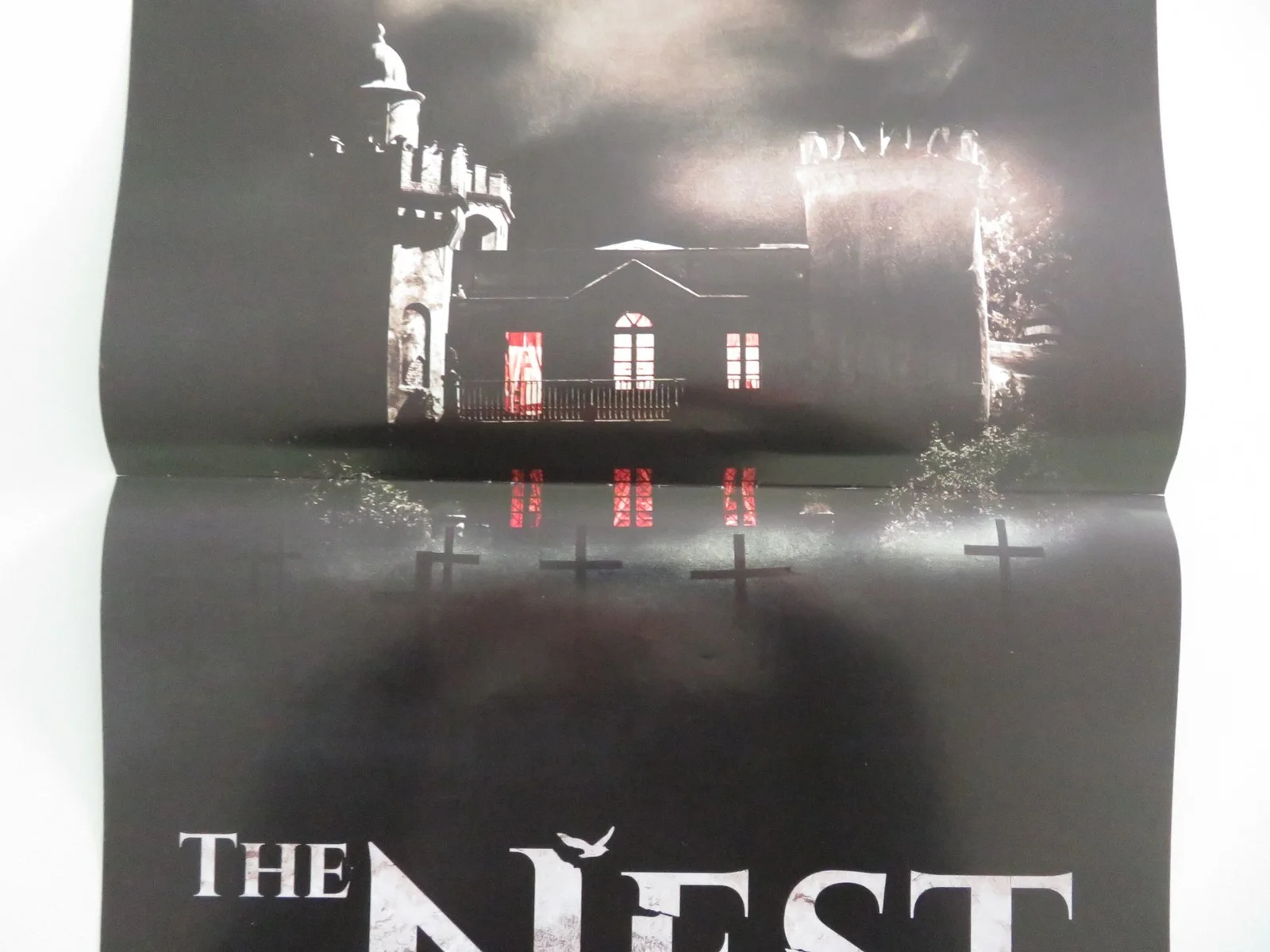 The Nest Italian Locandina Poster Francesca Cavallin Justin Korovkin 2019, изображение 3