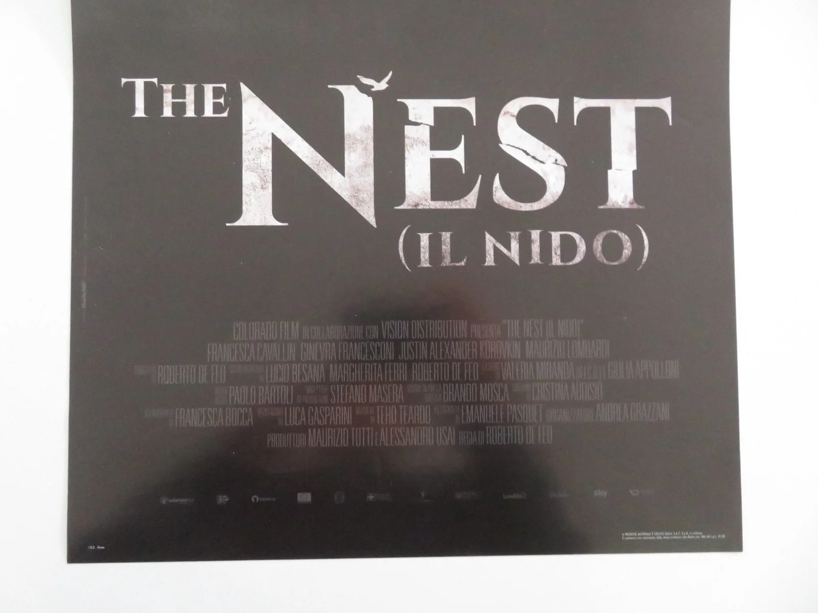 The Nest Italian Locandina Poster Francesca Cavallin Justin Korovkin 2019, изображение 4