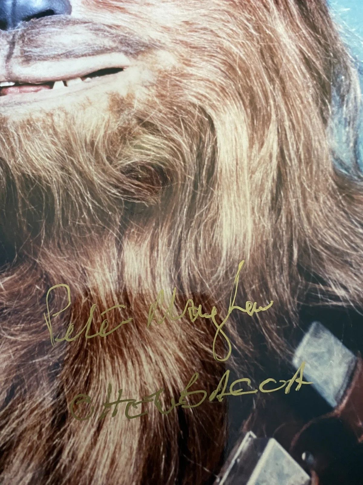 Peter Mayhew Chewbacca Genuine Signed Photo 1997 Star Wars 10x8 Gold Pen & COA, изображение 2