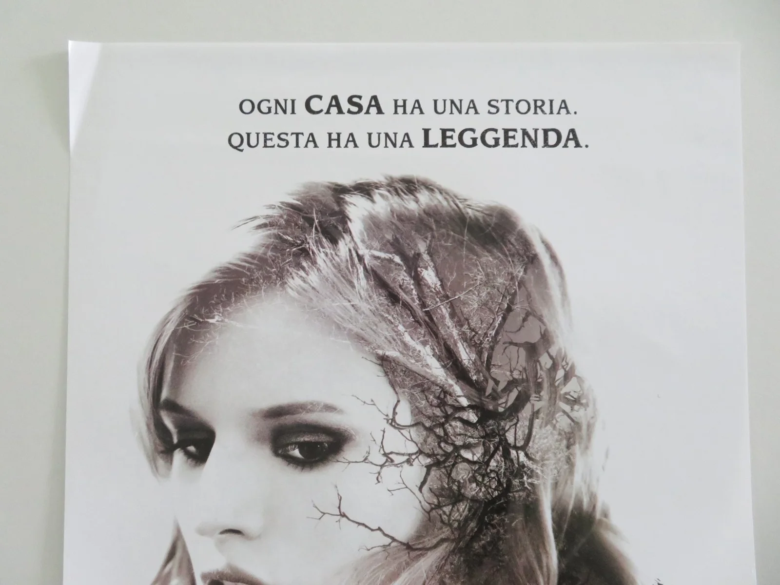 Amityville: The Awakening Italian Locandina Poster Jennifer Jason Leigh 2017, изображение 2