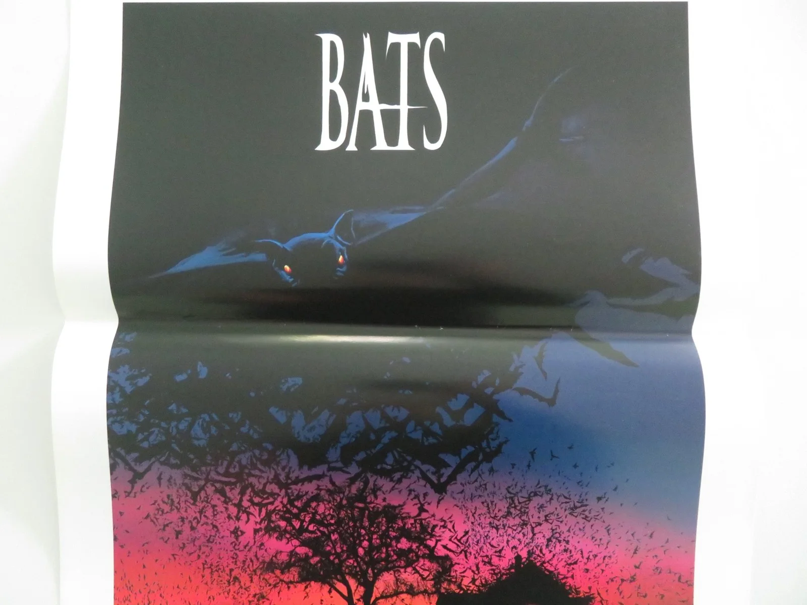 Bats Italian Locandina Poster Lou Diamond Phillips Dina Meyer 1999, image 3