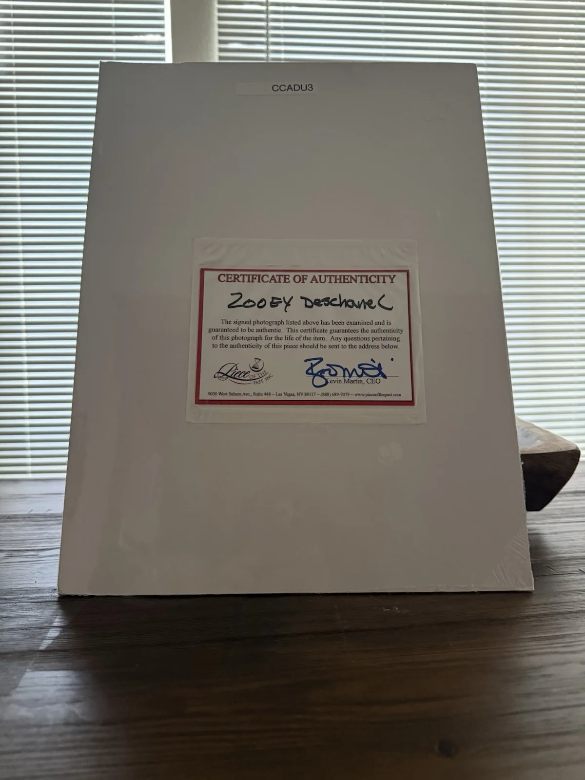Zooey Deschanel — Zooey Deschanel signed 16x12 COA Matted Photo, image 3