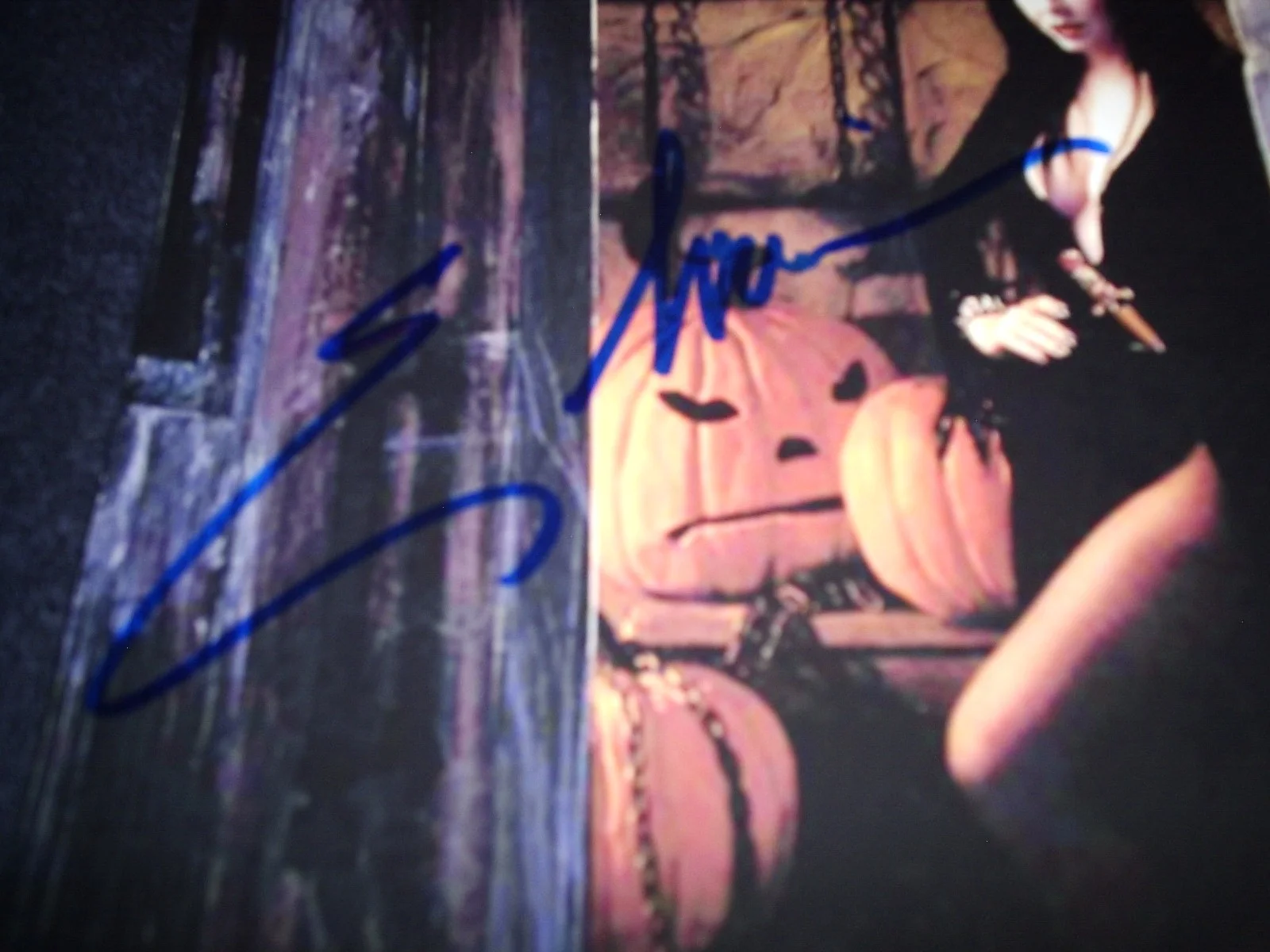 CASSANDRA PETERSON AKA ELVIRA — ELVIRA CASSANDRA PETERSON SIGNED 8X10 MISTRESS OF THE DARK! RARE SEXY! PROOF WOW, изображение 3