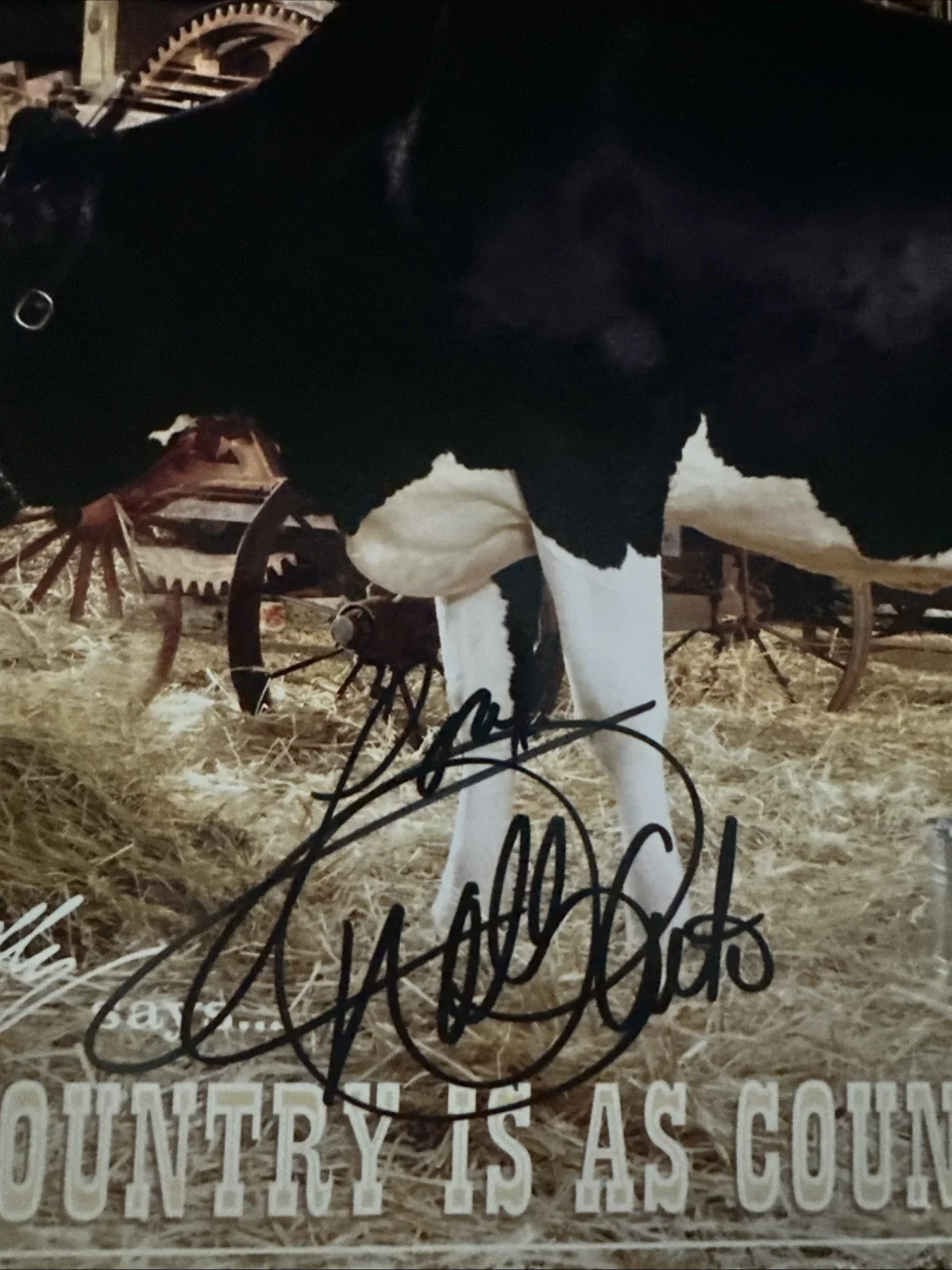 Dolly Parton Autographed Country Is As Country Does Cow Photo, изображение 2