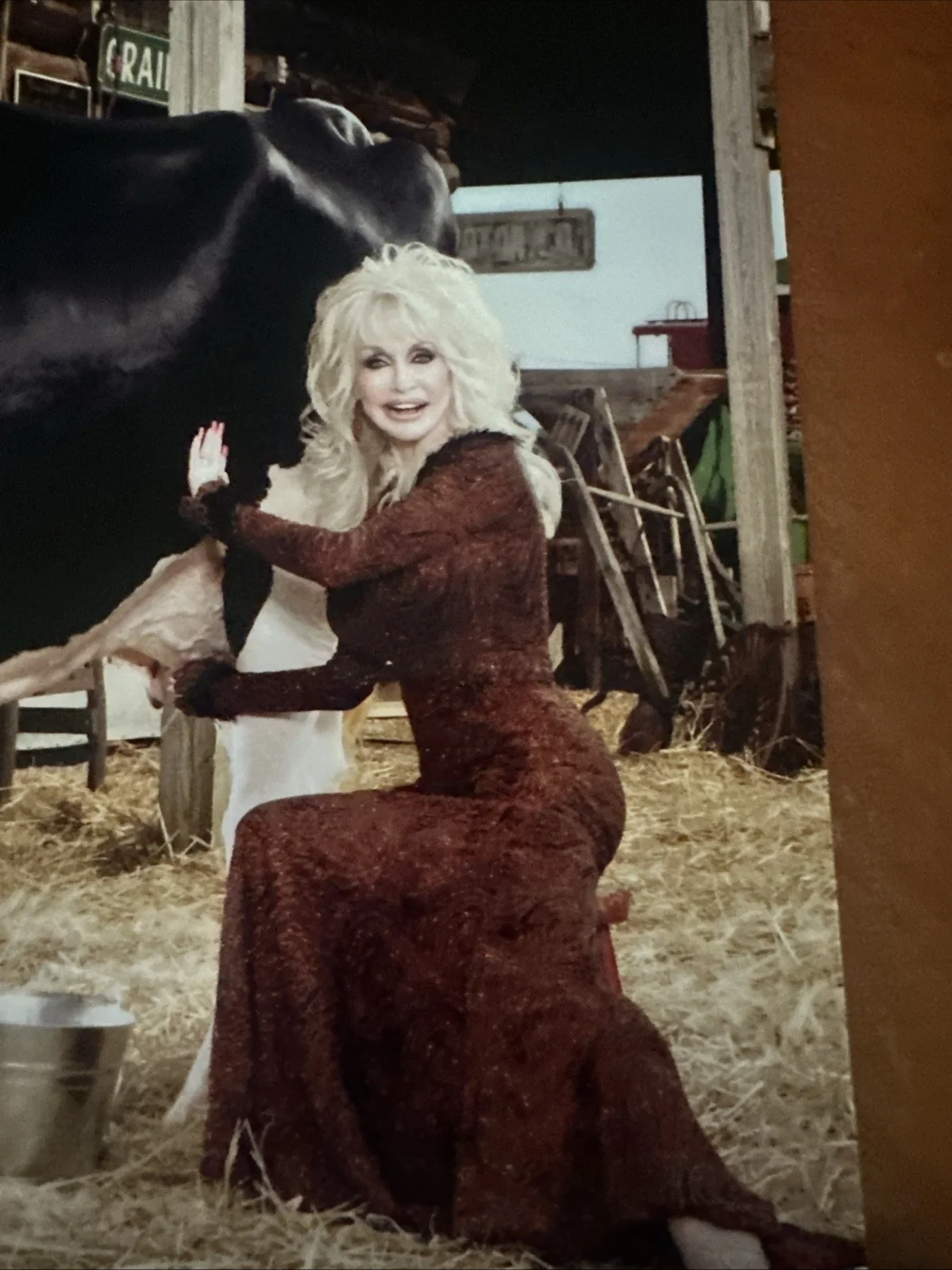 Dolly Parton Autographed Country Is As Country Does Cow Photo, изображение 3