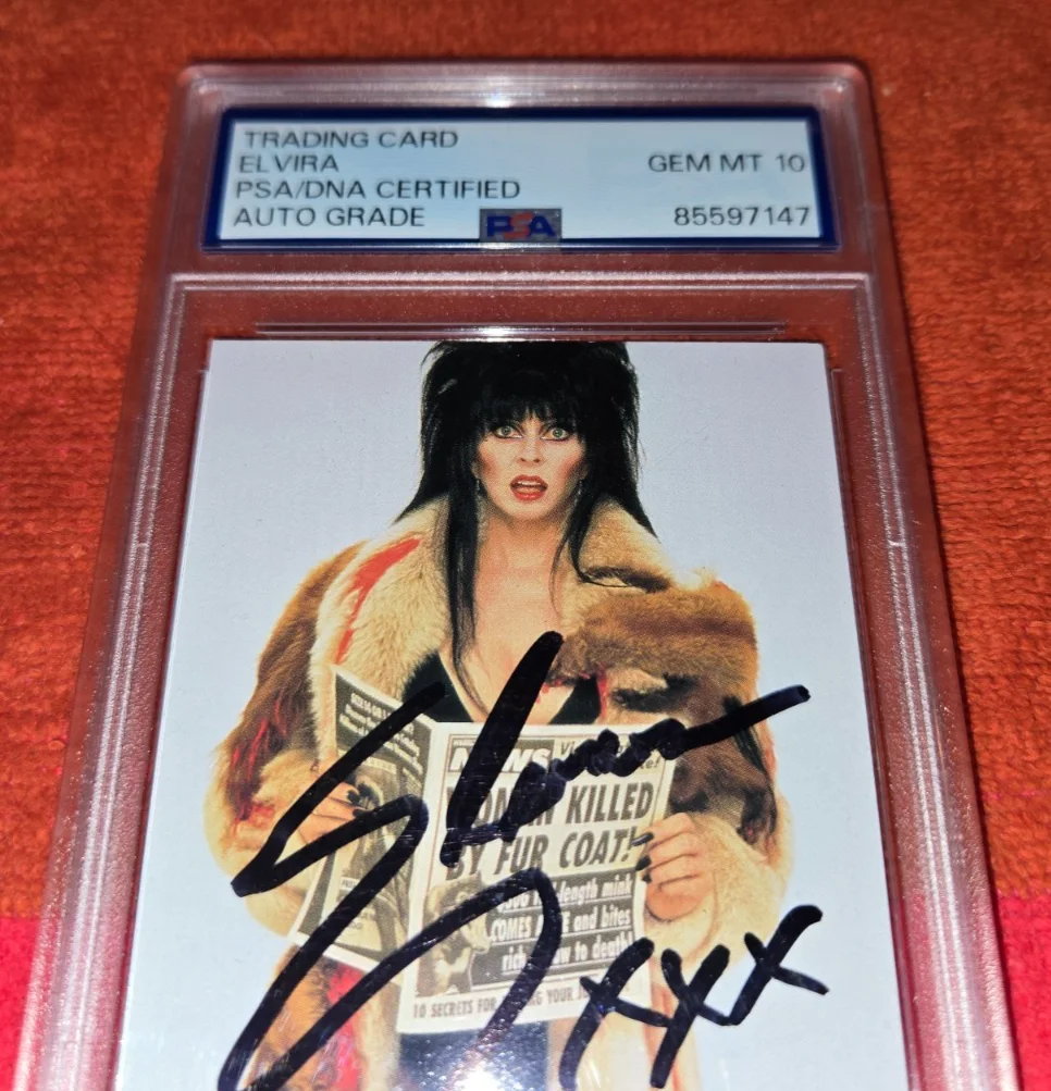 ELVIRA MISTRESS OF THE DARK — ELVIRA MISTRESS OF THE DARK AUTOGRAPHED CARD PSA / DNA AUTO GRADED PSA 10 GEM MT, изображение 2