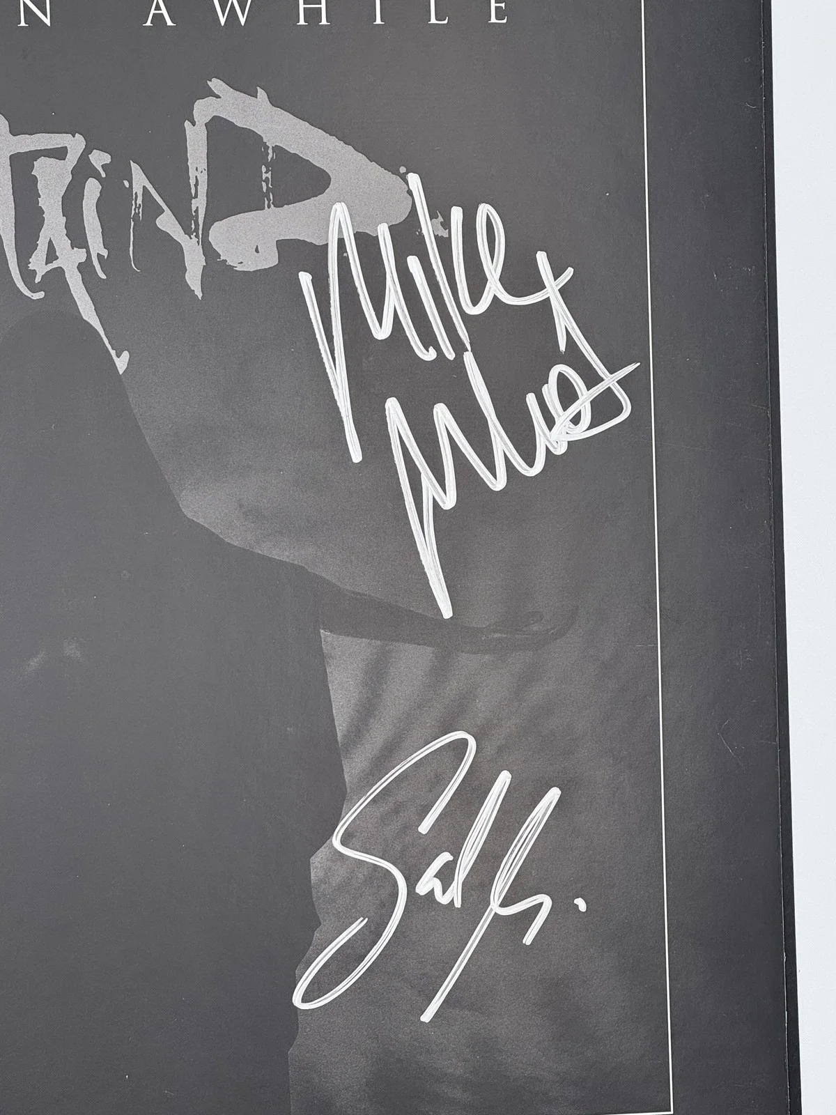 Aaron Lewis, Mike Mushok — Staind signed It's Been Awhile Vinyl Record Aaron Lewis Mike Mushok BAS 42, изображение 3