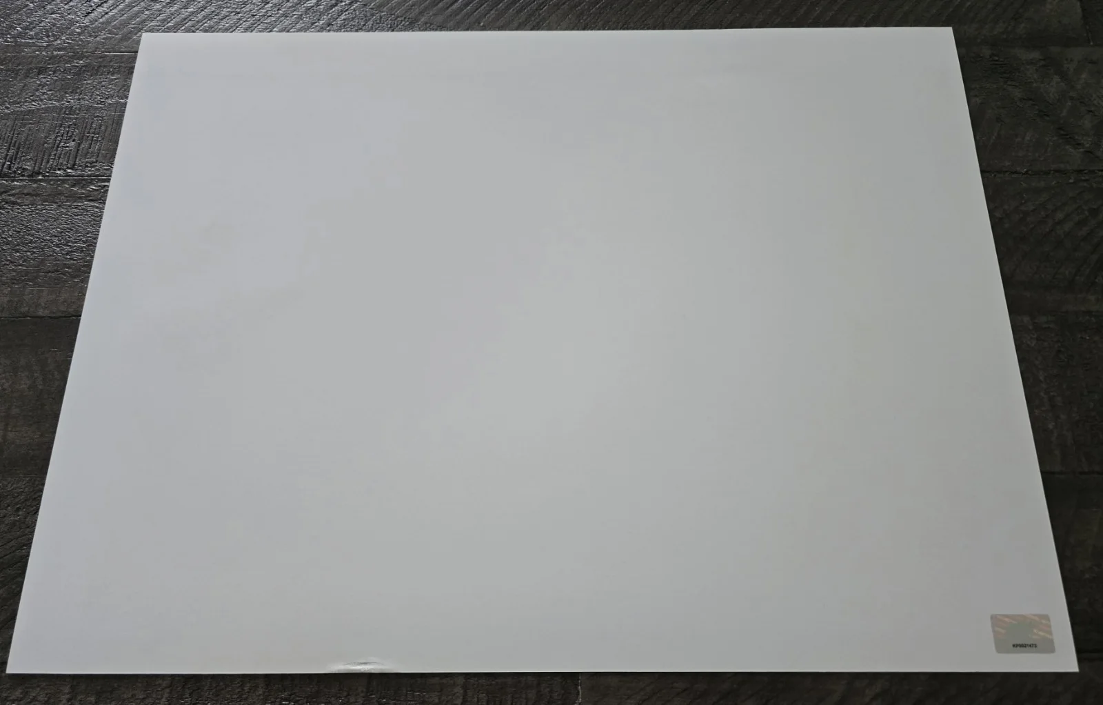 Alex Winter — Alex Winter Signed 12x16 Bill & Ted's Bogus Journey Leeloo Multiprops KAPOW, изображение 3