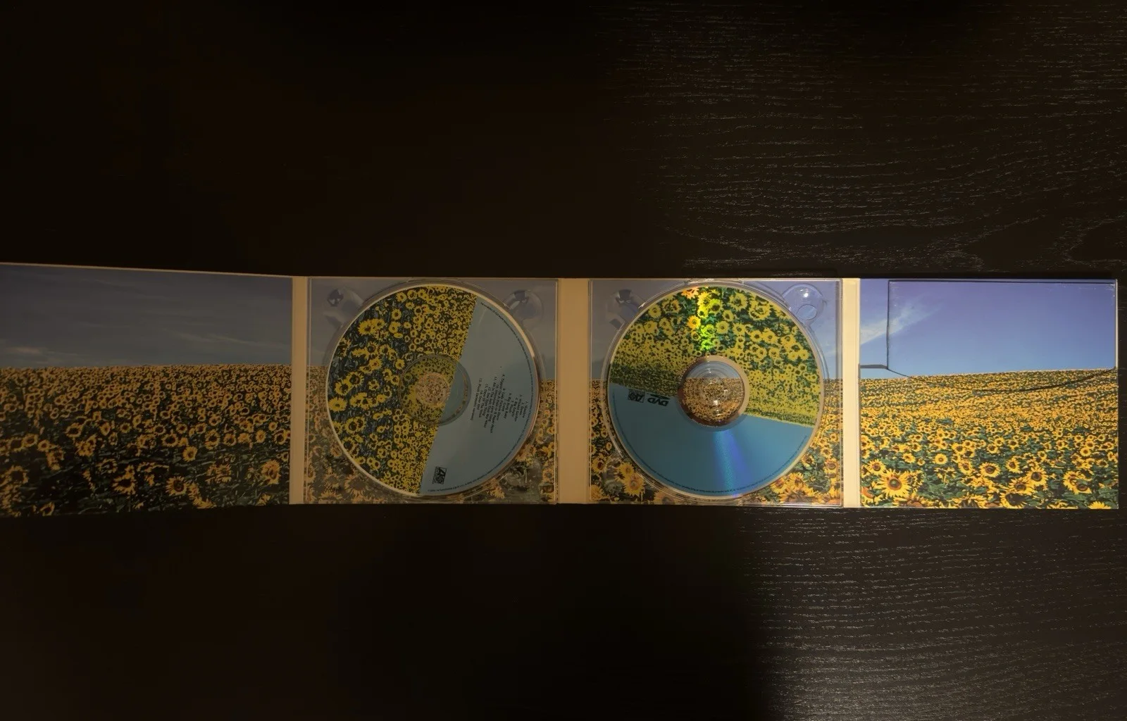 Stone Temple Pilots Thank You CD Signed Scott Weiland, image 2
