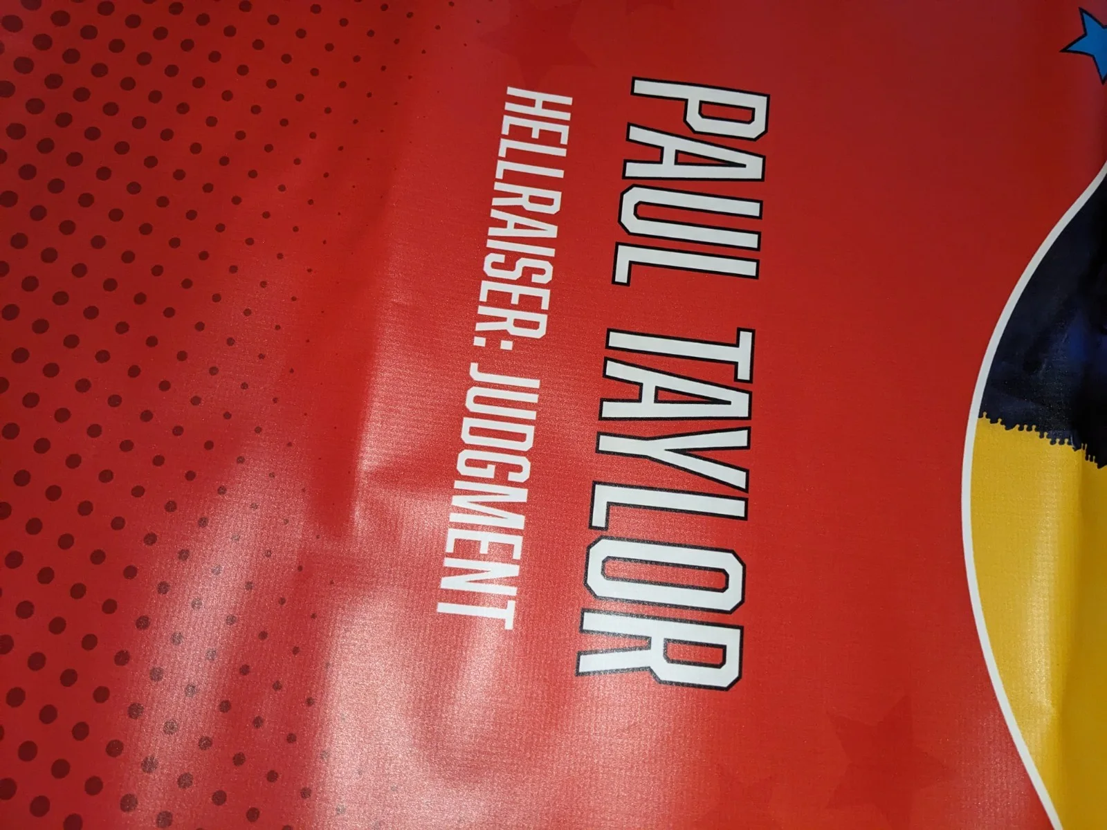 PAUL T TAYLOR Hellraiser Judgement Signed Banner 60'x23' FANBOYS MARKETPLACE, изображение 5