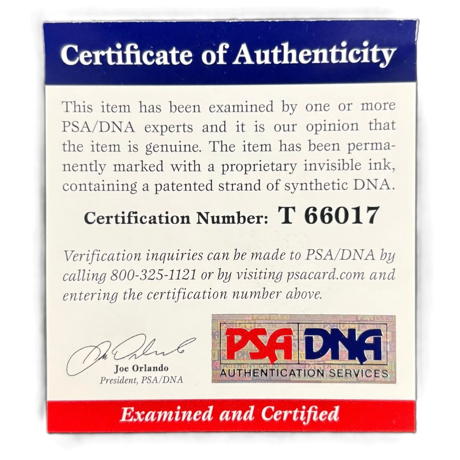 James Gandolfini Signed OML Baseball Sopranos Tony PSA PSA/DNA COA, изображение 3