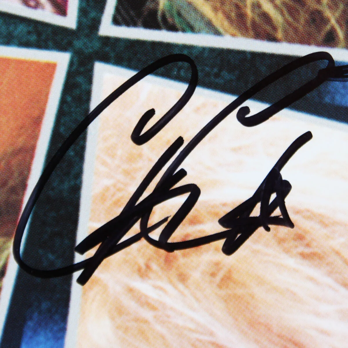 Poison Signed Record Album Look What the Cat Dragged In (4) Bret Michaels, C...., image 4