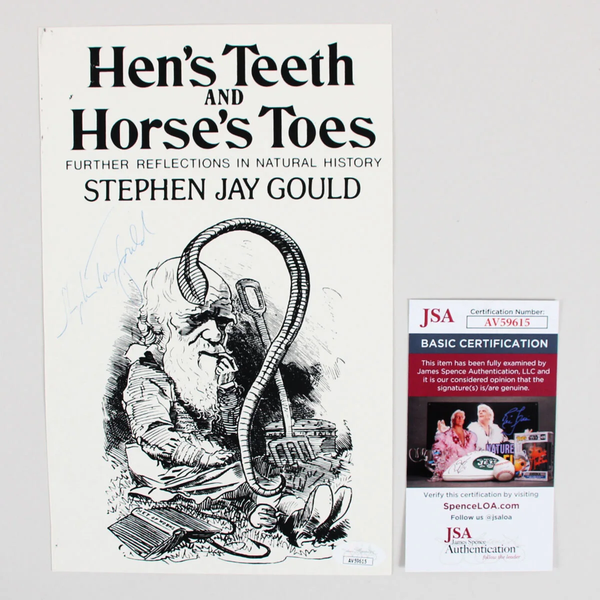 Stephen Jay Gould Signed Photo - COA JSA, image 3