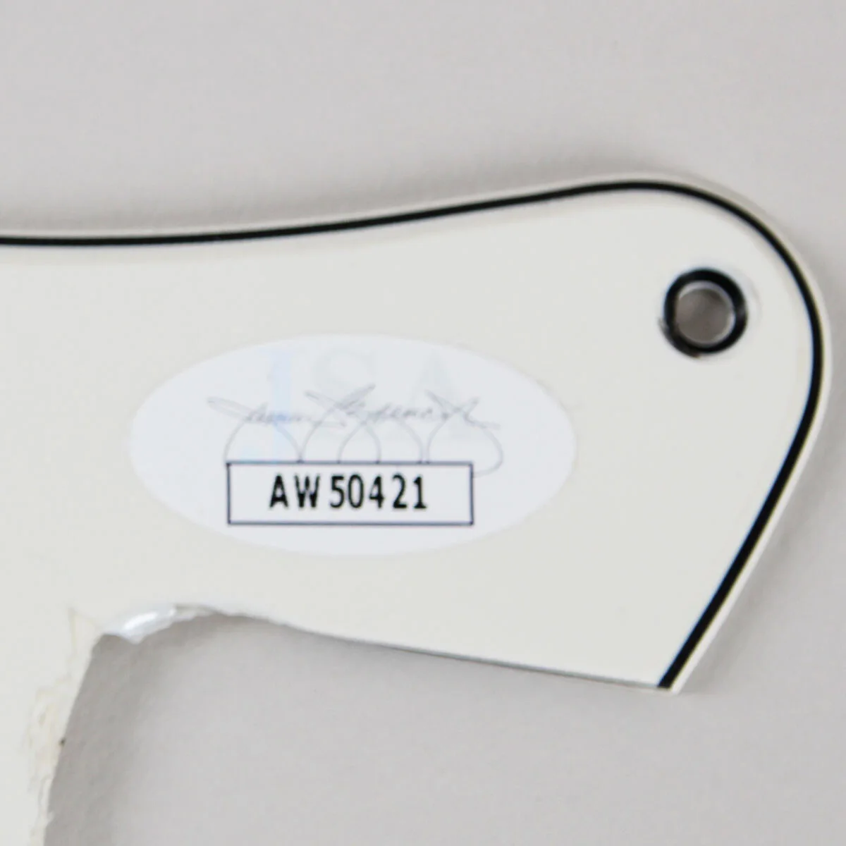 Cavo Band Signed Pickguard - COA JSA, image 4