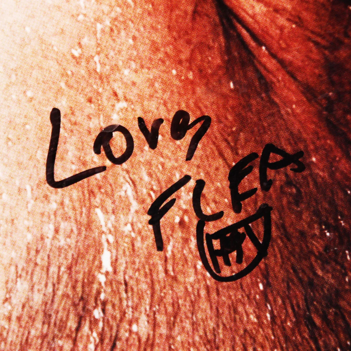 Red Hot Chili Peppers Signed Photo 19.5 x 23" (4) Anthony Kiedis, Chad Smith,..., image 3