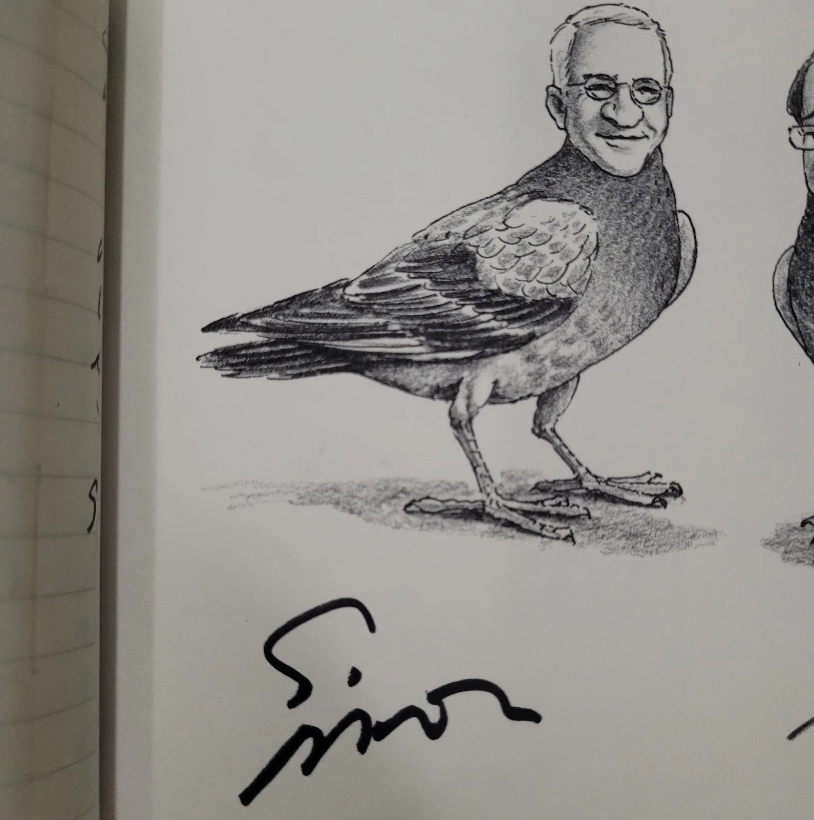 A WEALTH OF PIGEONS A CARTOON COLLECTION BY HARRY BLISS, STEVE MARTIN SIGNED PSA, изображение 4