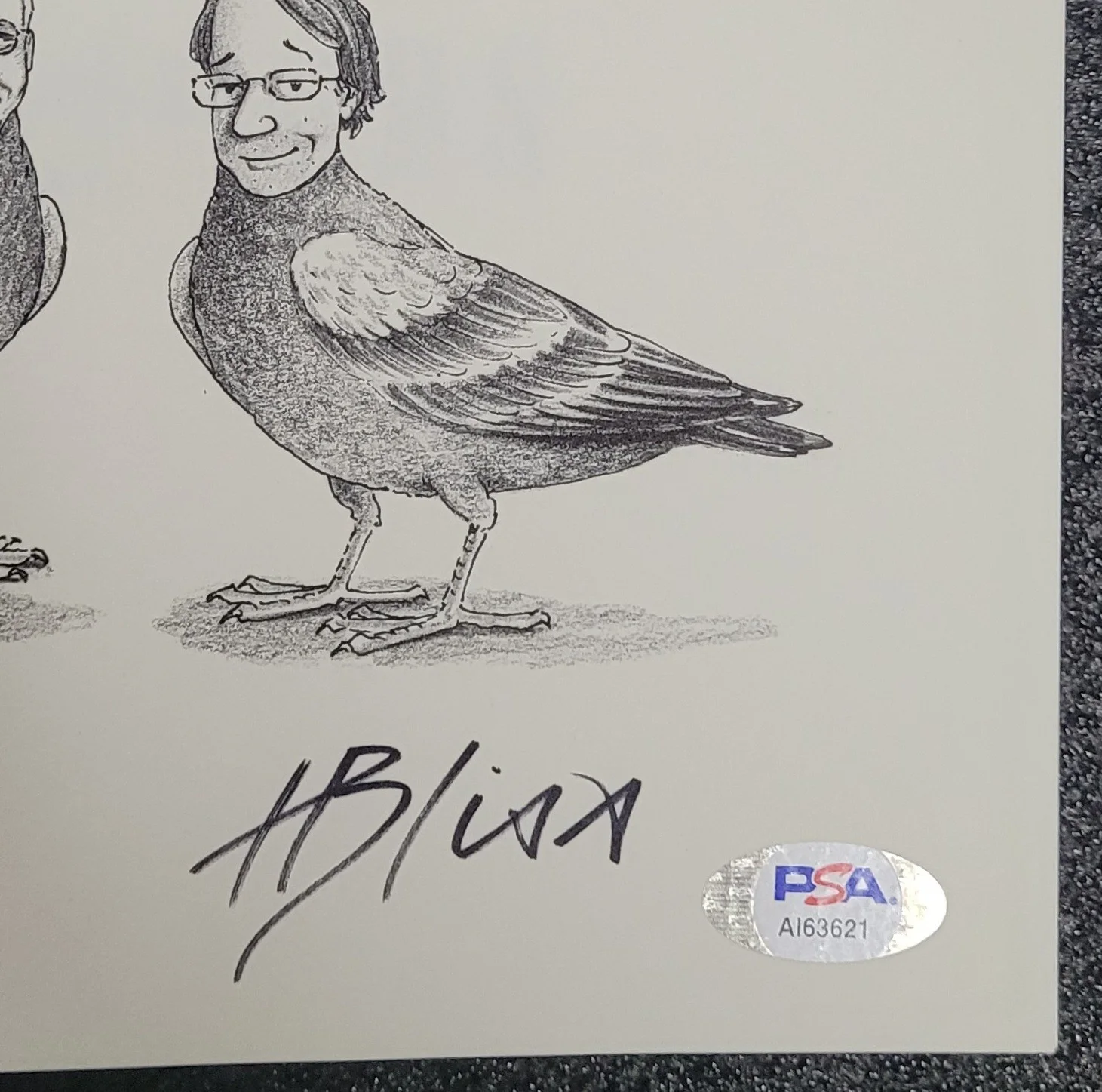 A WEALTH OF PIGEONS A CARTOON COLLECTION BY HARRY BLISS, STEVE MARTIN SIGNED PSA, изображение 5
