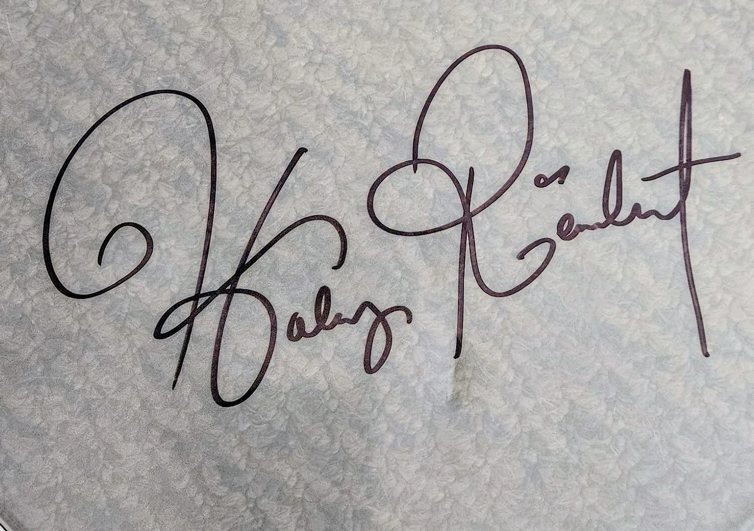 Haley Reinhart Signed American Idol Drumhead RARE!!, image 2