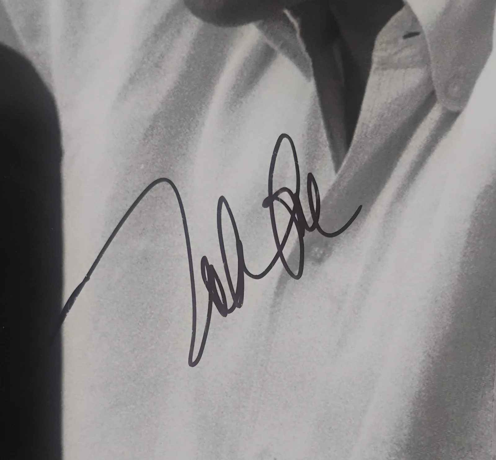 Mike Love Hand Signed Autograph 8x10 Photo JSA COA Beach Boys NO US TARIFFS, image 3
