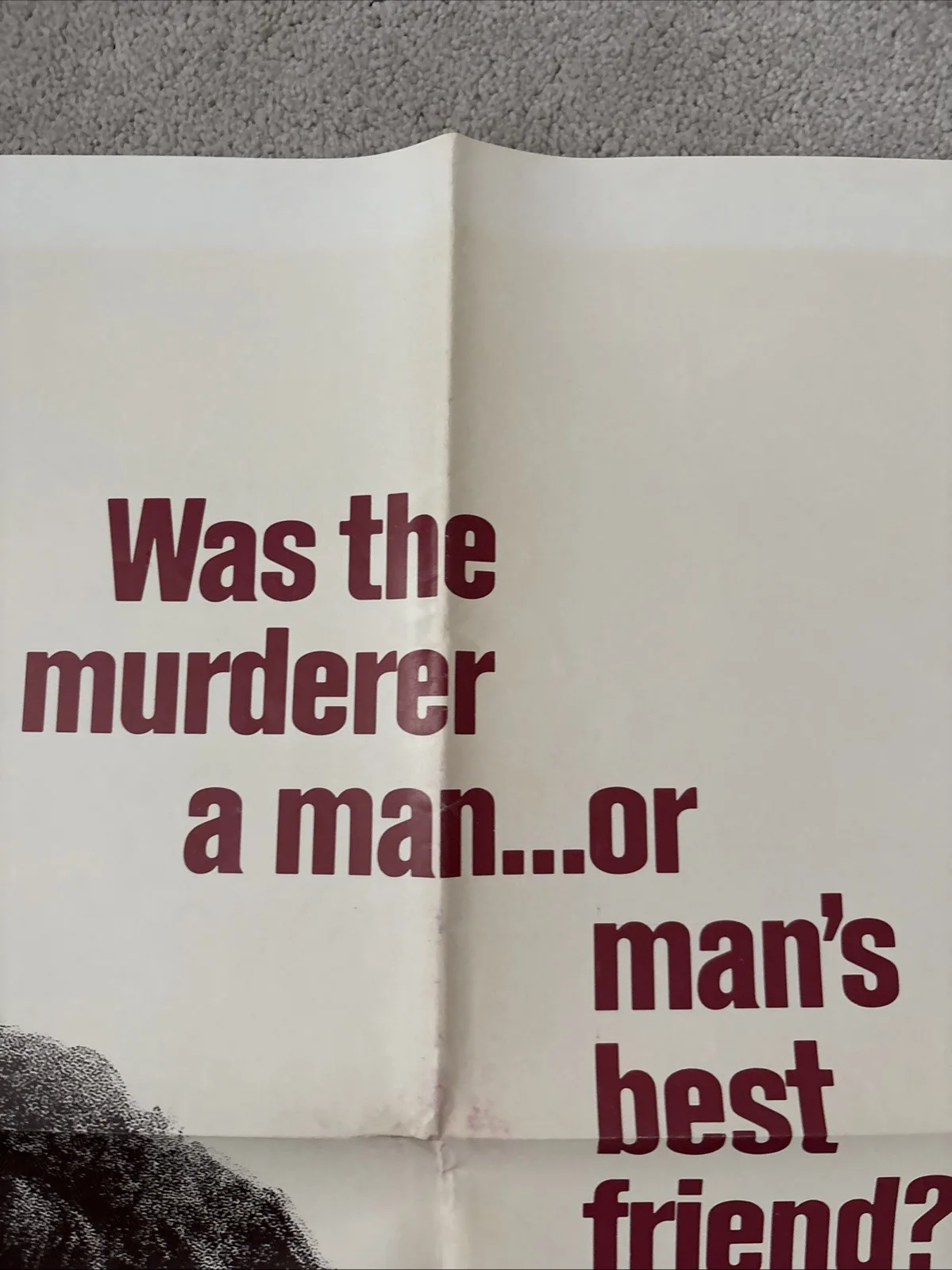 They Only Kill Their Masters (1972) Original US One Sheet Movie Poster, изображение 3
