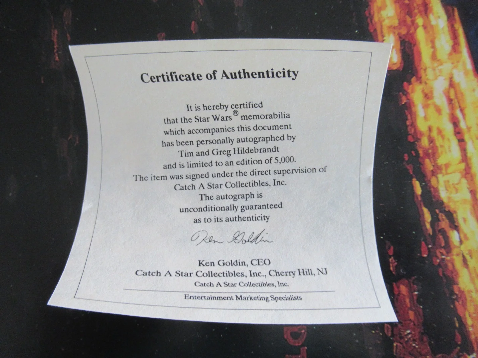 Star Wars: A New Hope 27x 40 Movie Poster Greg & Tim Hildebrandt Signed COA (8), изображение 2