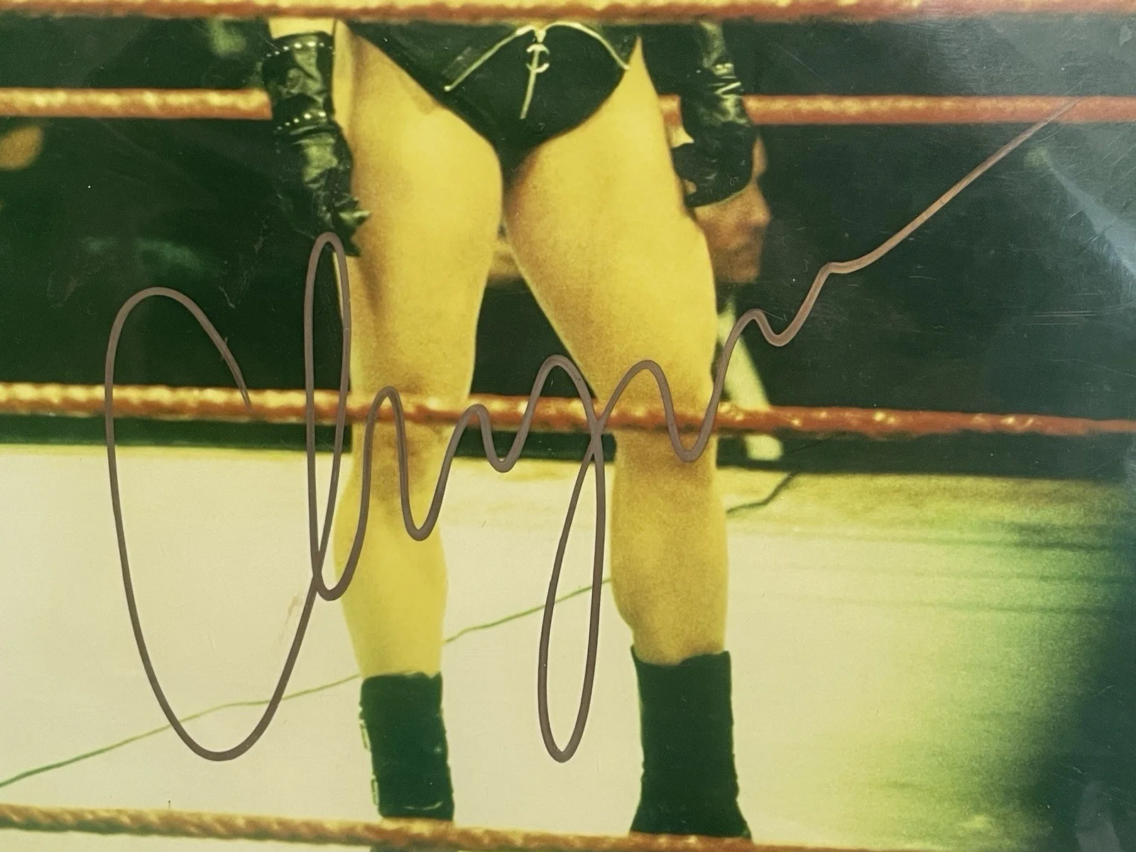 Chyna signed 8x10 Picture autographed Photo Pic and COA, изображение 2