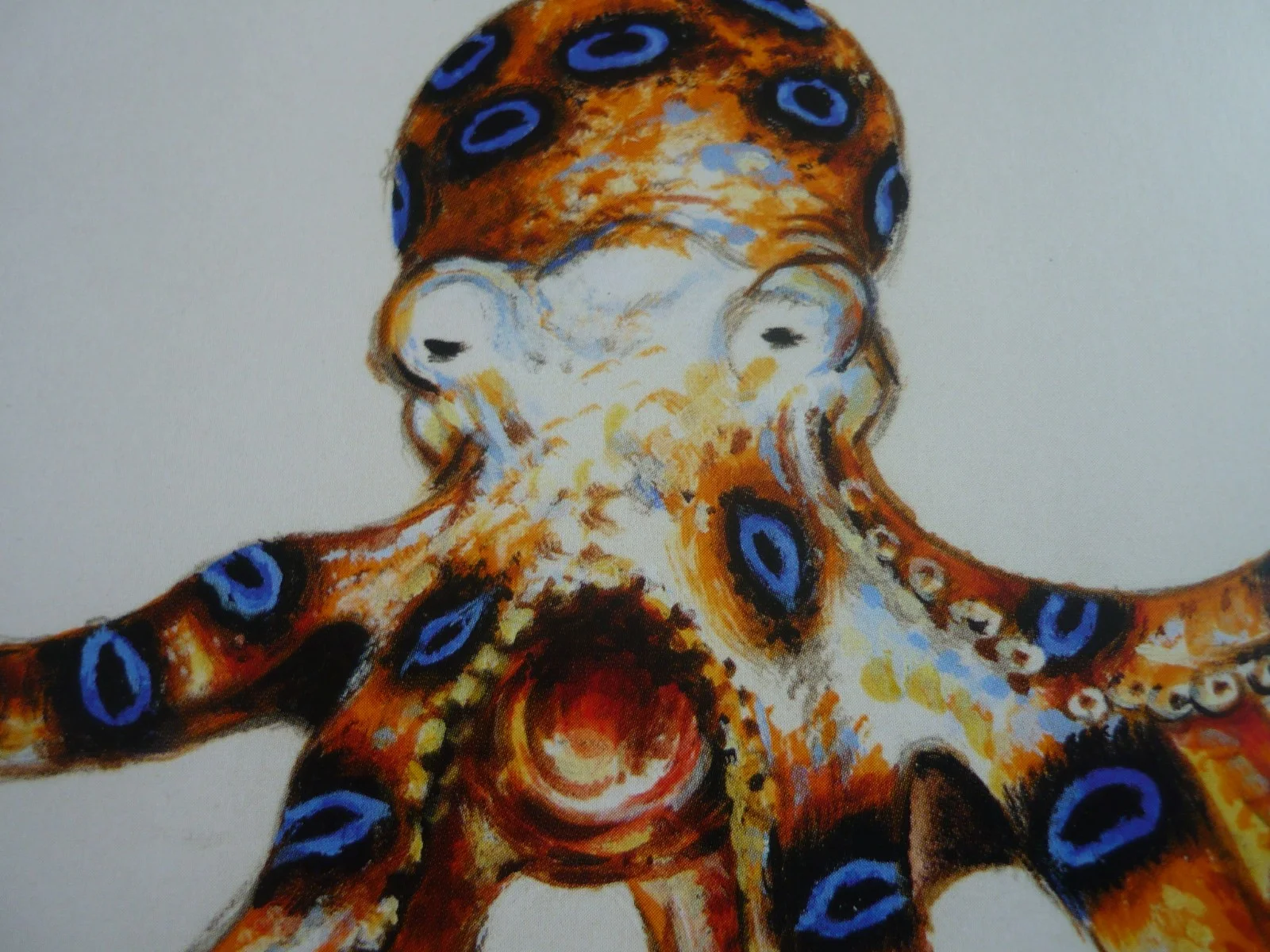 a4 mounted 007 james bond octopussy watercolour tempory tattoo artwork, изображение 2
