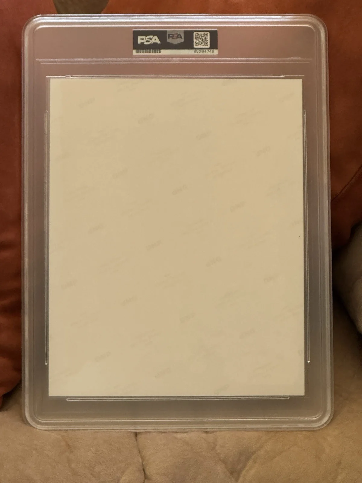 Steve Carell 40 Year Old Virgin Signed 8 X 10 Encapsulated PSA Slab Auto, image 4