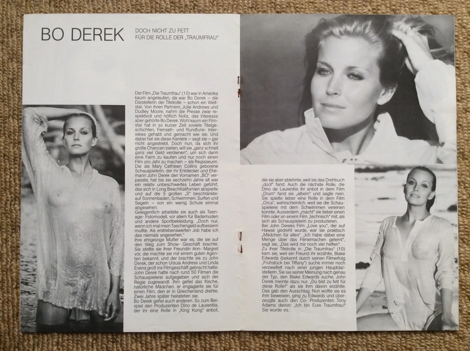 10 Film SEXY Movie Program BO DEREK DUDLEY MOORE JULIE ANDREWS ROBERT WEBBER, image 4