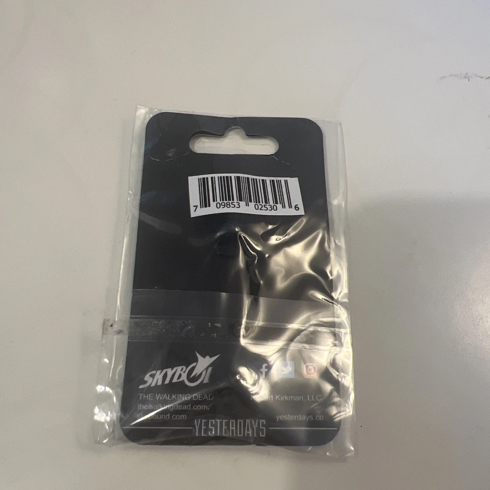Yesterdays Skybound Image Comics The Walking Dead HILLTOP JUMBO PIN, image 2