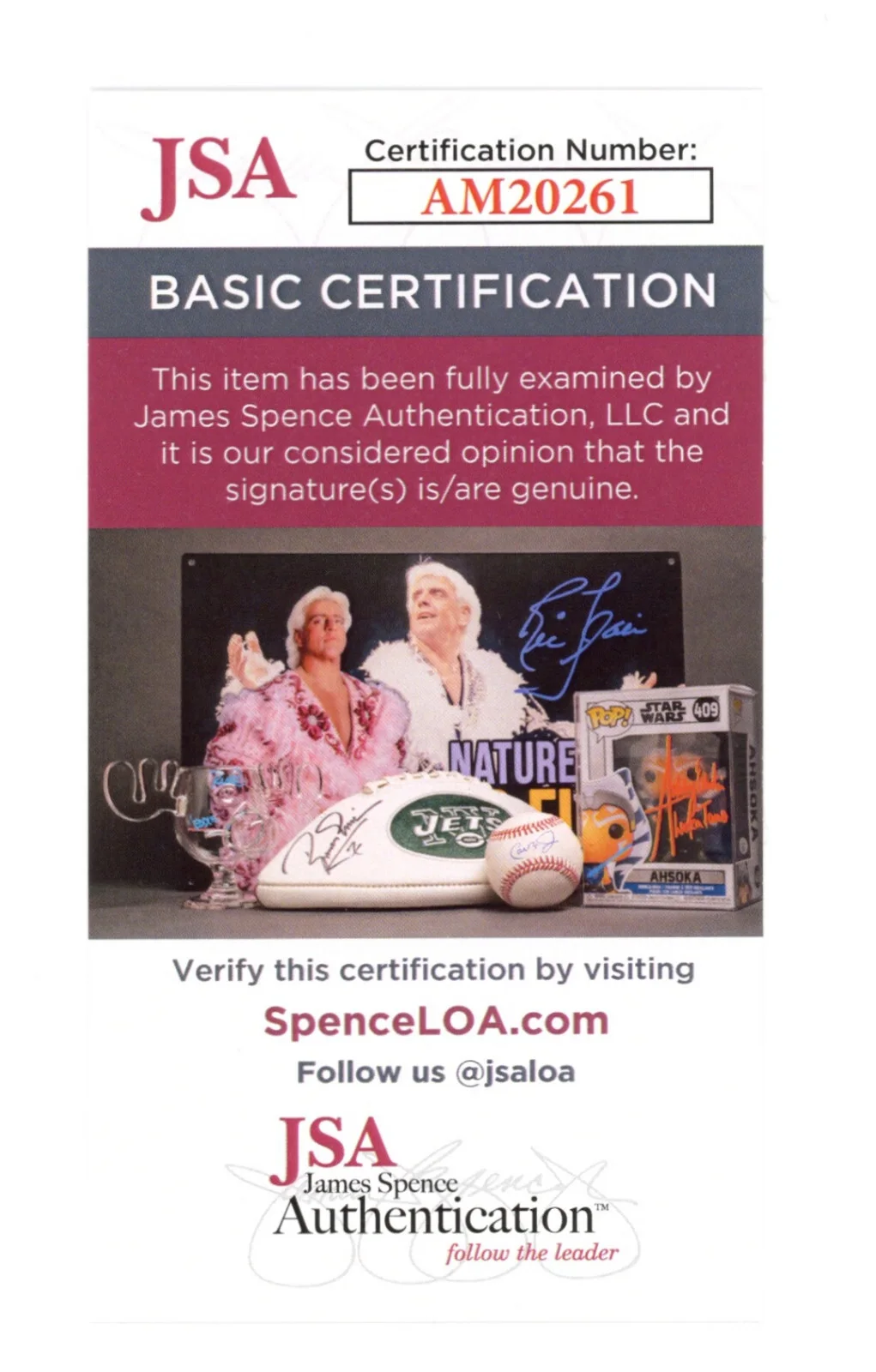 Halsey — Halsey Signed JSA COA Autographed Sexy 8X10 Concert Photo Autograph Auto, изображение 3
