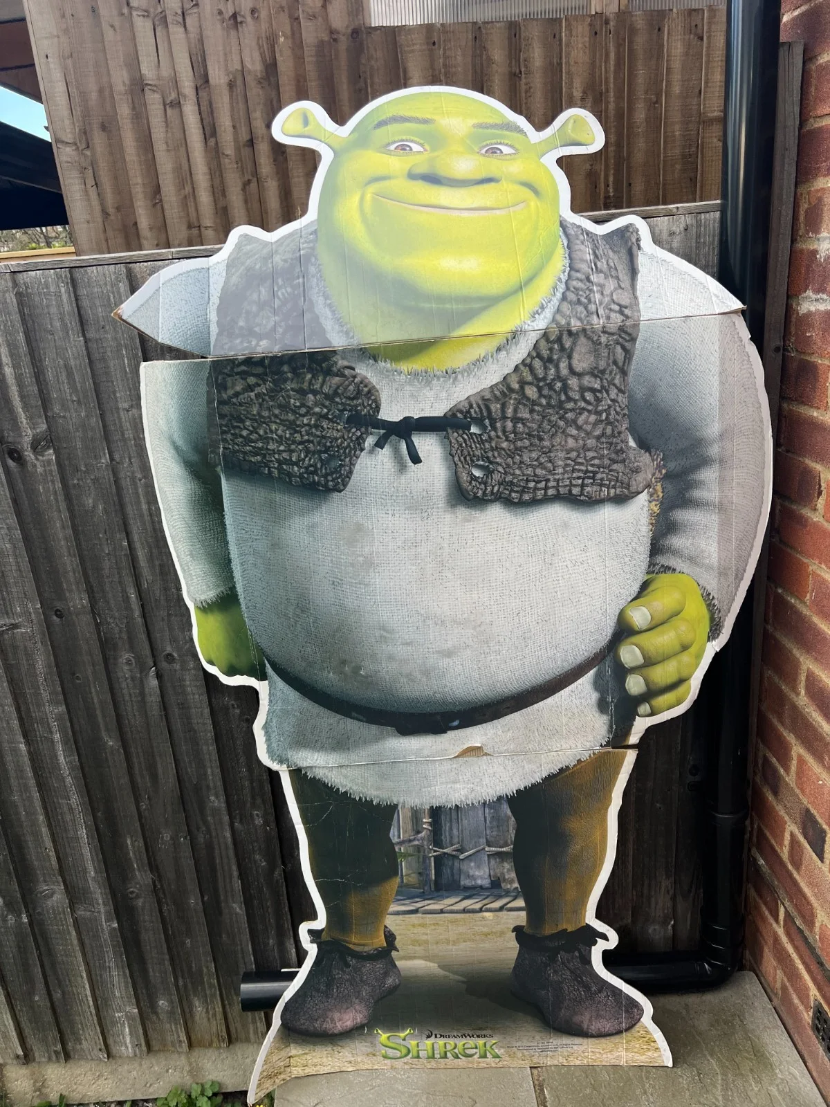 Star Cutouts 2015 Dreamworks Shrek Cartoon Cardboard Cutout Full Size Defect, изображение 2