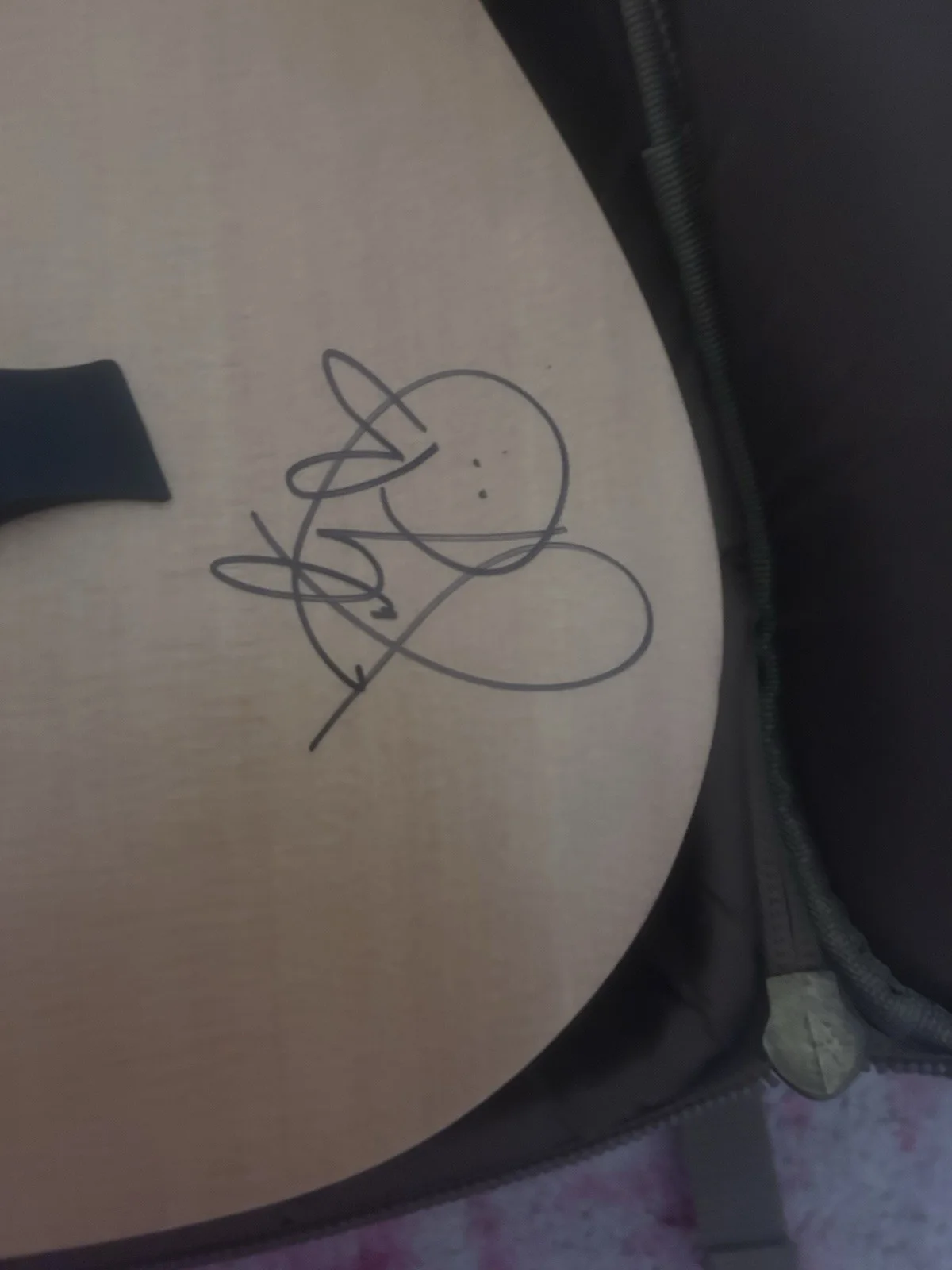 Brand New Baby Taylor Acoustic Guitar Signed by Katy Perry, image 5