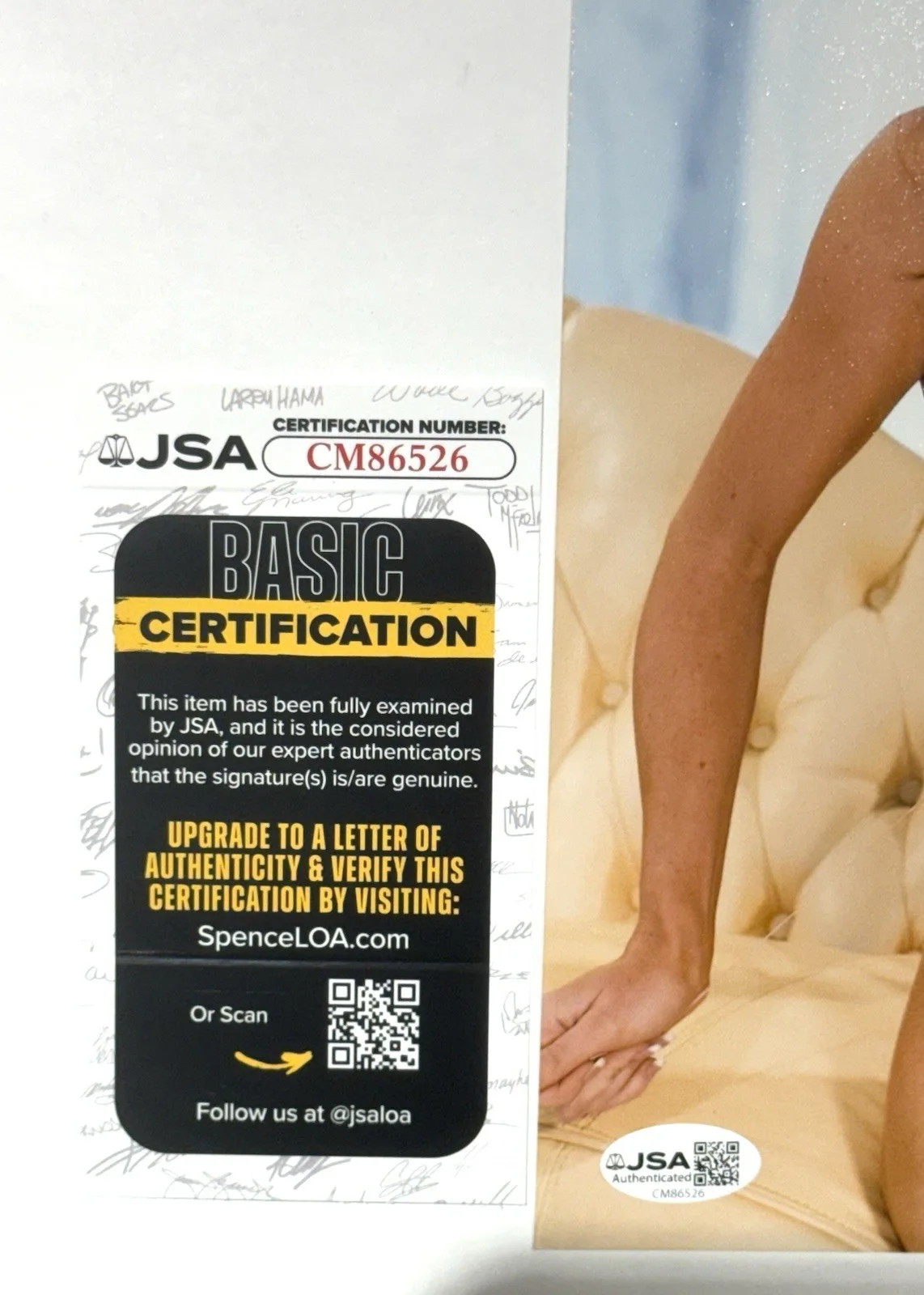 Kayla Paige Adult STAR SIGNED 8X10 PHOTO Autograph Sexy 🔥Naughty America JSA, изображение 3