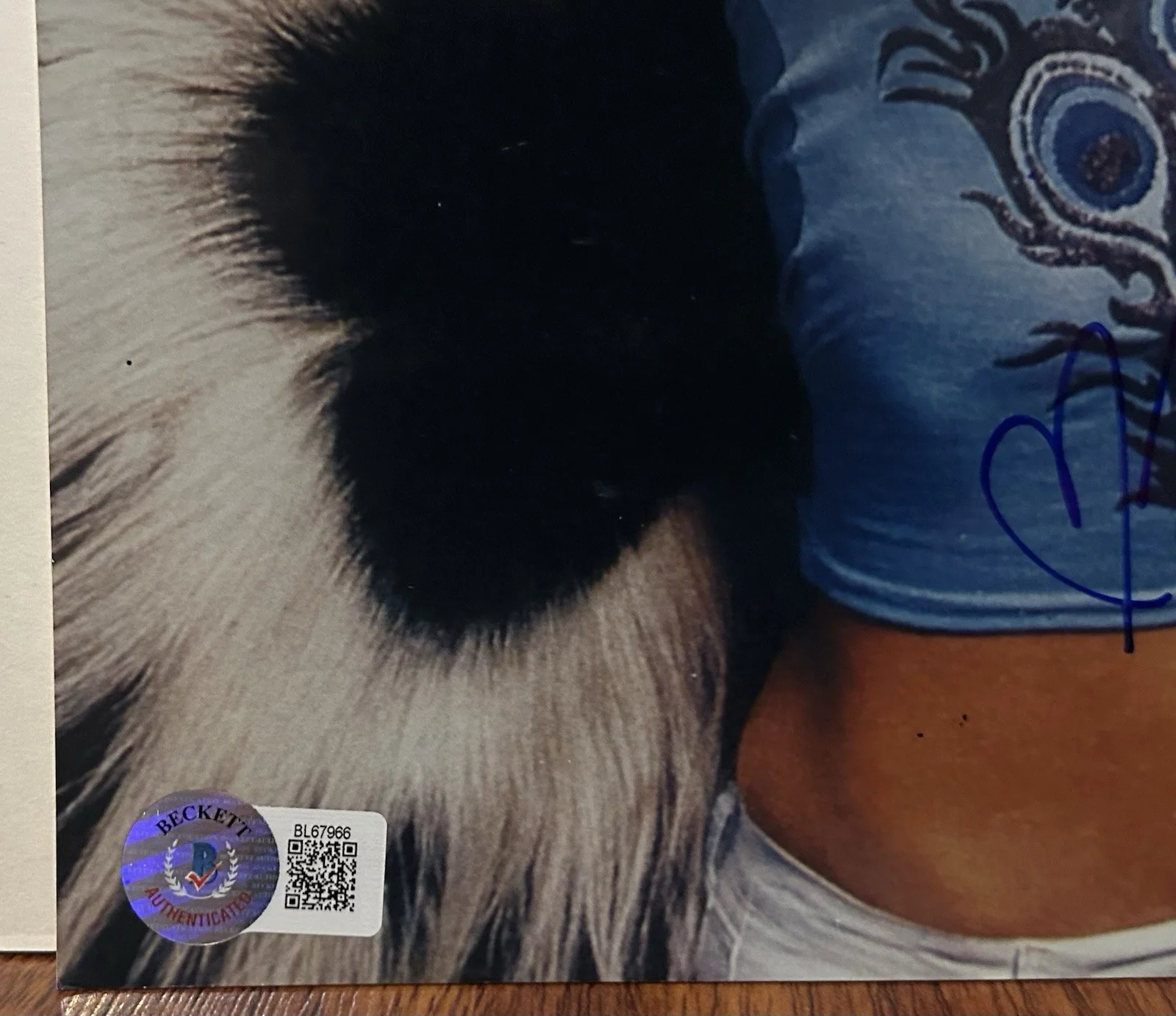 NELLY FURTADO SIGNED 8x10 PHOTO I’M LIKE A BIRD BECKETT BAS, изображение 2