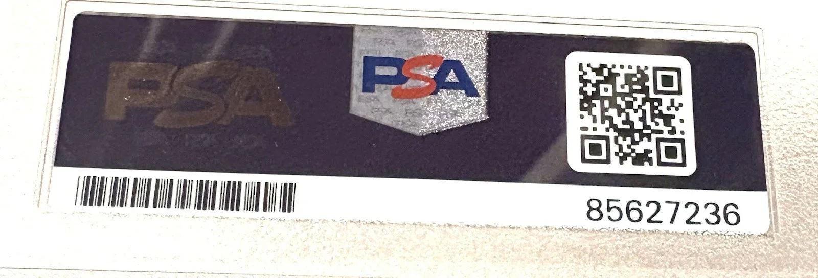 IN THIS MOMENT Band SIGNED PSA/DNA Auto Slabbed CD, изображение 4