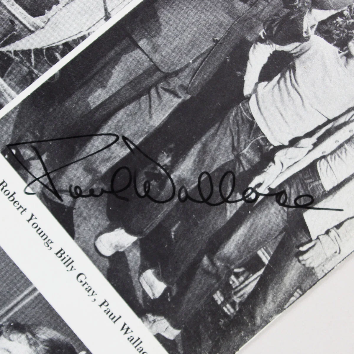 The Adventures of Ozzie and Harriet Cast Signed Photo Ricky Nelson, David Nel..., изображение 5