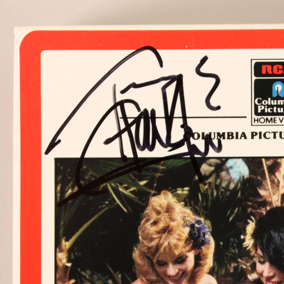 Cheech Marin & Tommy Chong Signed VHS Nice Dreams - COA JSA, image 3