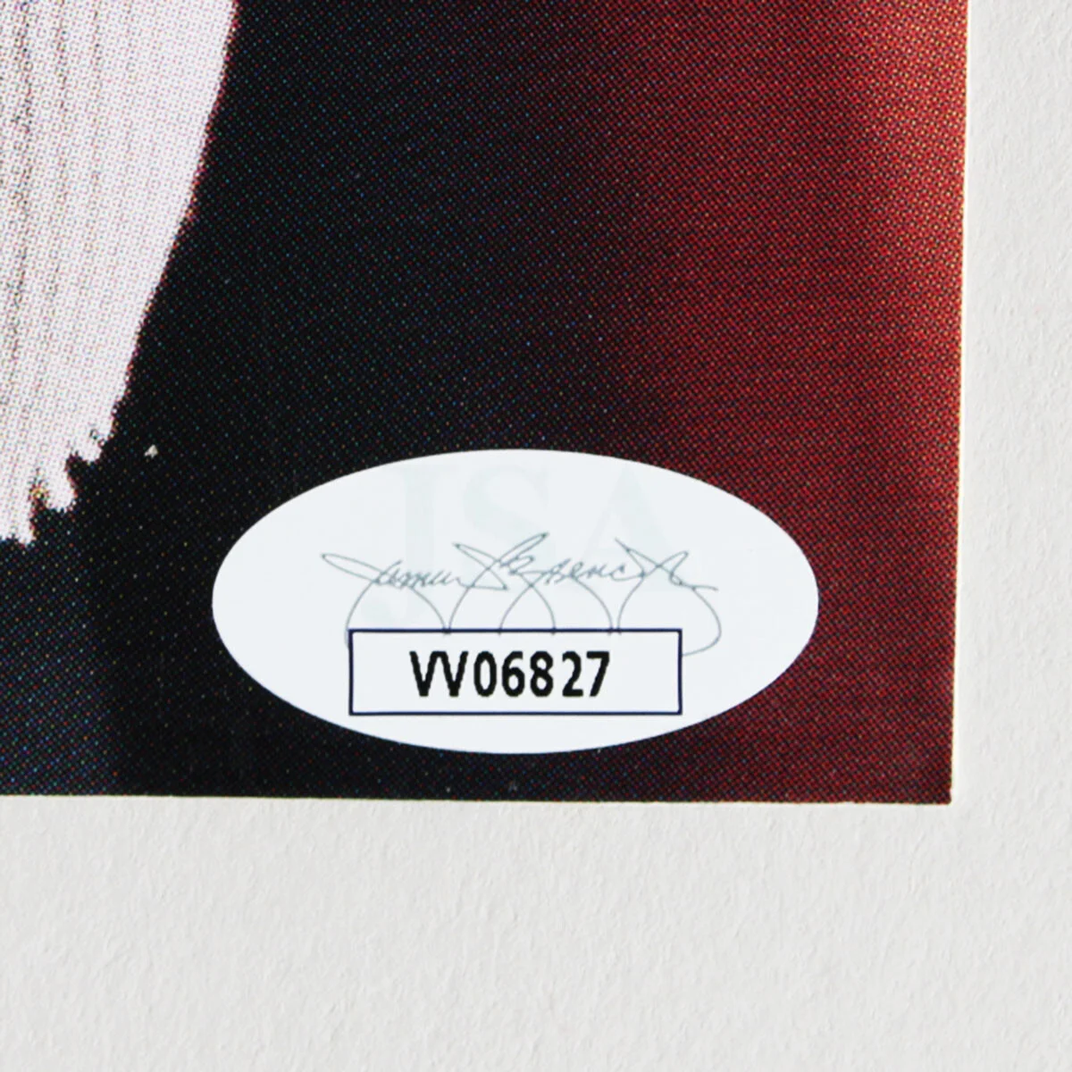 Cheech Marin & Tommy Chong Signed Bumper Sticker - COA JSA, image 4