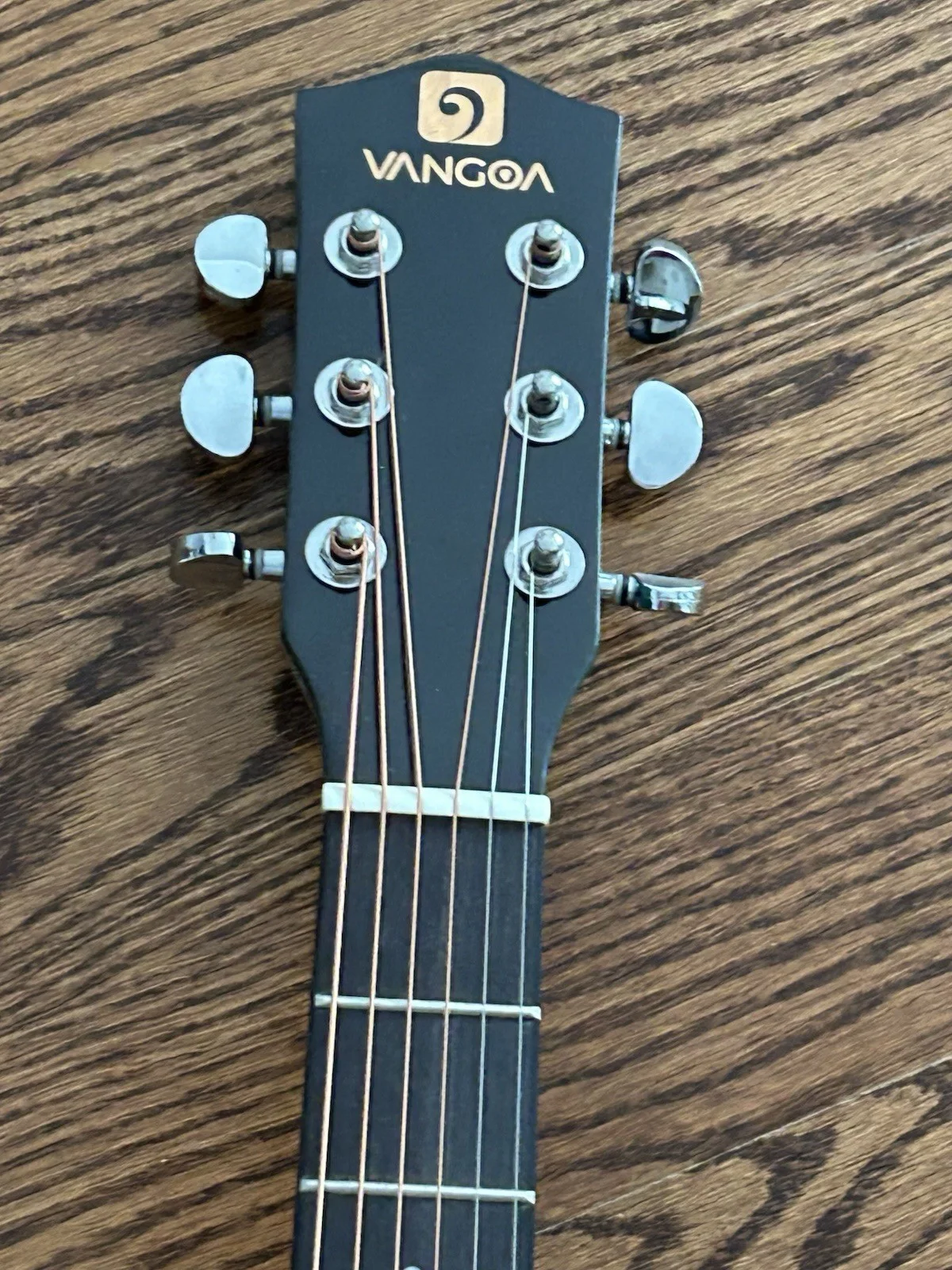 JJ Grey Mofro Signed Guitar Autographed, image 3