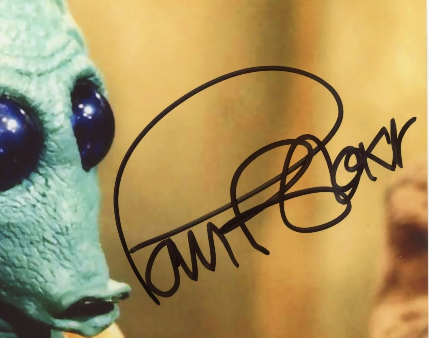 Paul Blake — Paul Blake Signed 8x10 Photo (COA) Greedo Actor Star Wars: Episode IV A New Hope, изображение 2